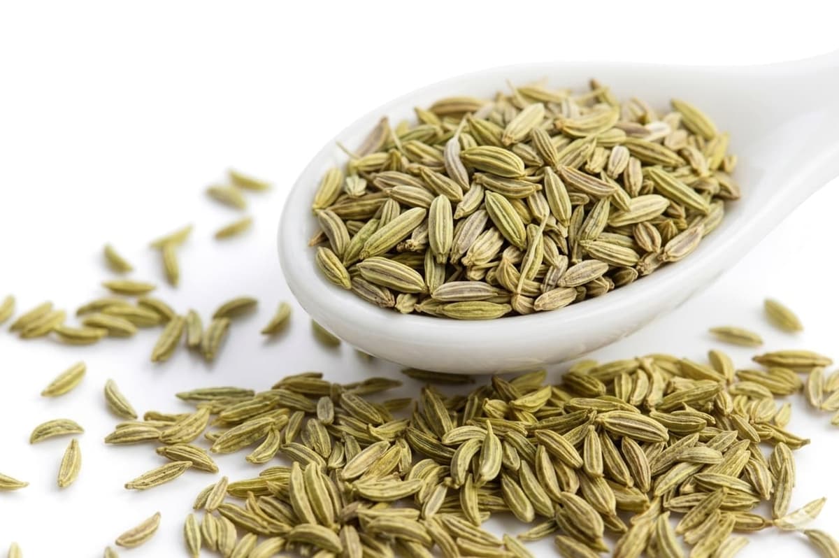 Premium Sortex Cleaned Fennel Seeds for Food Industry and Export